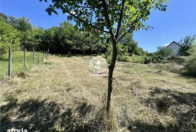 Casă cu 2 camere cu Teren 1940 Mp în Ciurea - 13