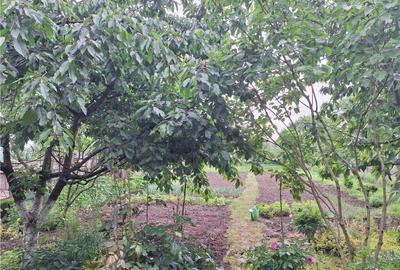 Reco, casa gepiu - 18