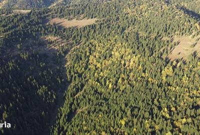 Teren de 162000 mp, în Sărmaș - 4