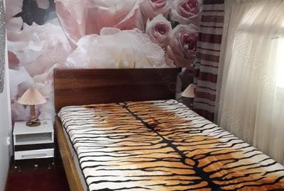 Casă cu 4 camere cu Teren 1000 Mp în Sunători - 3