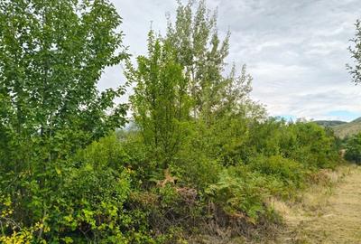 Terenuri intravilane alipibile in Runcu, zona cu potential - 6