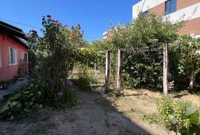 Teren str Renasterii Chitila - 5