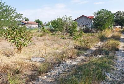 Vidra, Cretesti Str. Ograda - 3