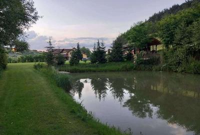 Casă cu 4 camere cu Teren 15000 Mp în Luna - 4