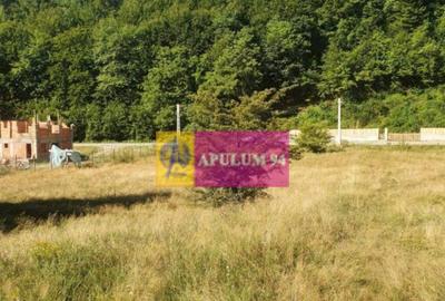 Teren Jude?ul Valcea - Brezoi, Valea lui Stan - 17