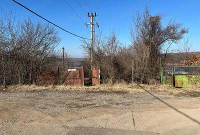 Gradistea -Ilfov, strada Nuferilor, teren intravilan 1000 mp 15m. - 13