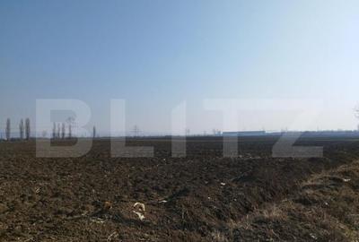 Teren 10000mp, 38ml deschidere, Berceni - 1