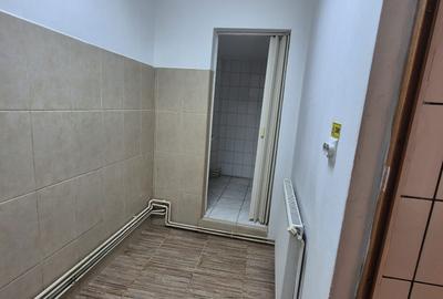Spațiu comercial, de 45 mp, în Paltiniș - 8