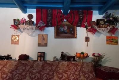 Casă cu 2 camere în Păltiniș - 4