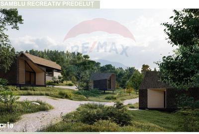 Spațiu comercial, în Predeluț - 15