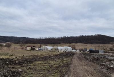 Teren de 17000 mp, în Ceuaș - 1