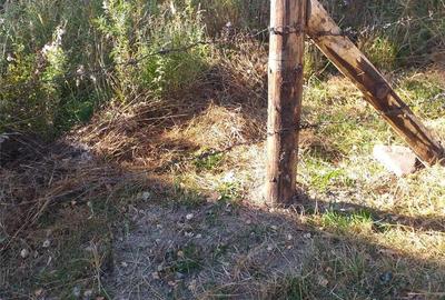 Teren de 350 mp, în Cheia - 4