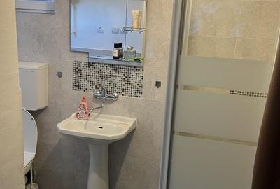 Casă cu 3 camere în Voivodeni - 6