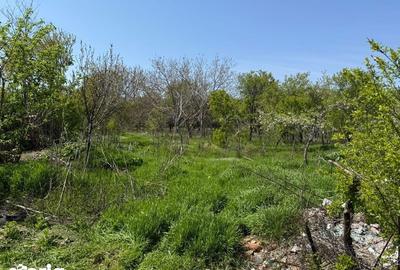 Casă cu 4 camere cu Teren 2000 Mp în Gura Vadului - 3