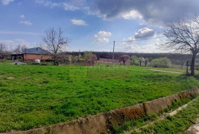 Teren Construcții intravilan de 3400 mp, în Buturugeni - 4