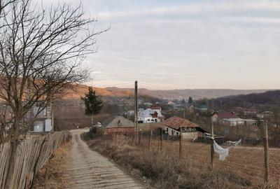 Teren de 6000 mp, în Priboieni - 4