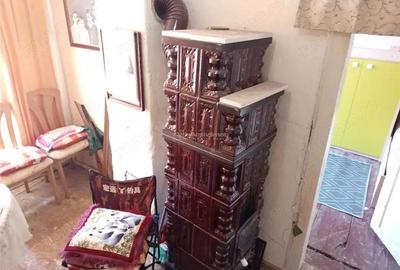 Casă cu Teren 1439 Mp în Anina - 20