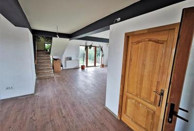 Vila Deosebita Rudicica - 3