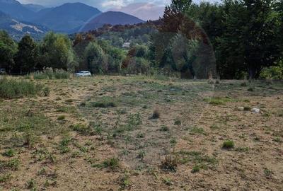 Teren 5,174mp Bran / Strada Colibasilor la 800 m de centrul Branului - 4