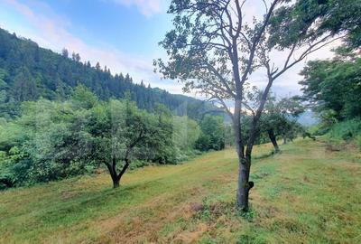 Teren intravilan, 31 ari, Ilva Mica, zona montana - 6