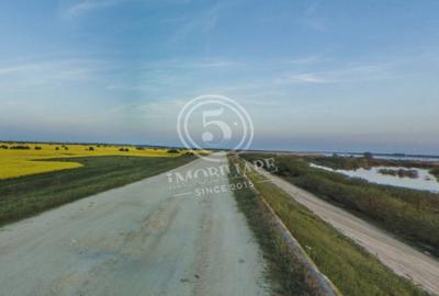 Teren agricol intravilan de 4472 mp, în Cornetu - 6