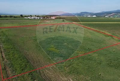 Teren Construcții intravilan de 39500 mp, în Vințu de Jos - 7