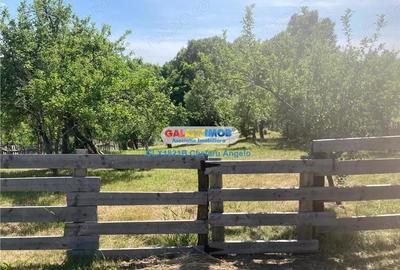 Casă cu 2 camere cu Teren 2000 Mp în Băbana - 1