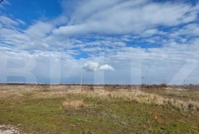 Teren arabil de vanzare, 84 ha, Berecsaul mic - 1