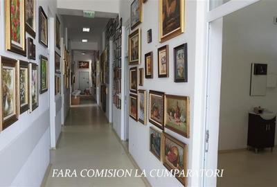 SPATIU COMERCIAL 220 MP - LANGA KAUFLAND - 6