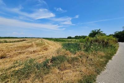 Teren de 2268 mp, în Potlogeni-Vale - 1