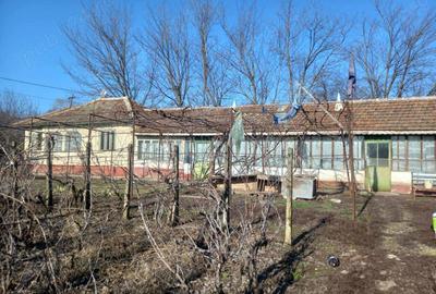 Casă cu 6 camere în Căldărușeanca - 4