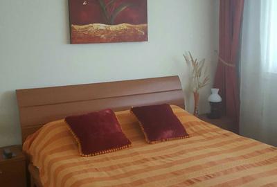 Apartament cu 2 camere semidecomandat în Bucureștii Noi - 4