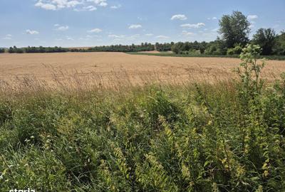 Teren de 7300 mp, în Vințu de Jos - 1