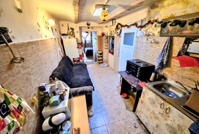 Apartament cu 1 cameră, zona Bălcescu, spațios, cu grădină - 5