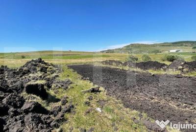 Teren de 800 mp, în Chinteni - 9