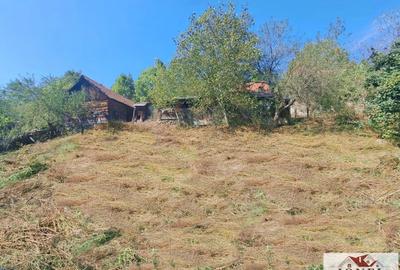 Vanzare casa in Zlatna - 10