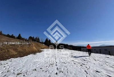 Teren intravilan Colibita 26 arii - 8