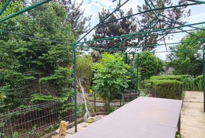 Casă cu 7 camere cu Piscina în Săftica - 9