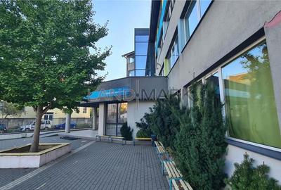 Cladire de inchiriat Timisoara, semicentral, parcare proprie - 17