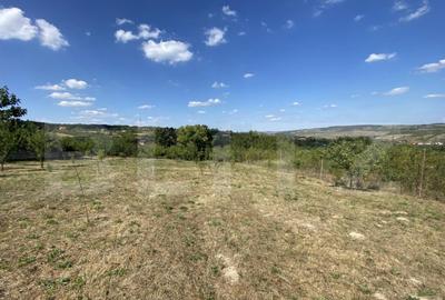 Teren intravilan in Aghires in suprafata de 1500 mp - 10
