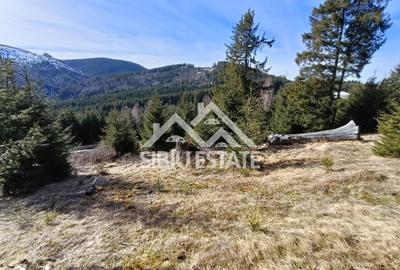 Teren de 2733 mp, în Șugag - 9