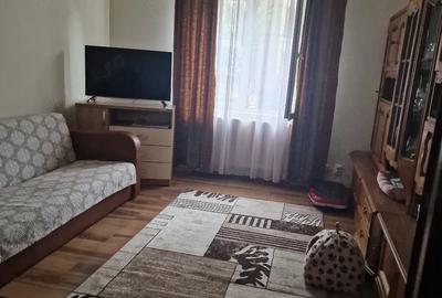 Apartament cu 2 camere decomandat în Săsar - 7