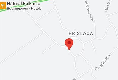 Teren de 1000 mp, în Priseaca