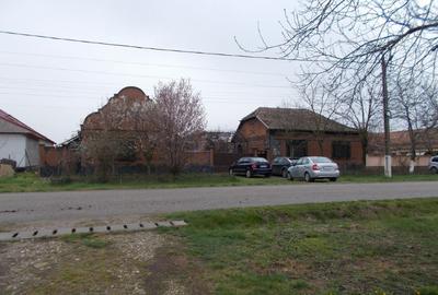 Casă individuală cu 5 camere cu Teren 1689 Mp în Pădureni (Jebel) - 1