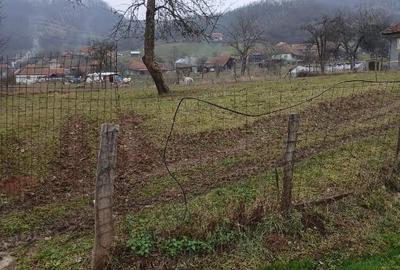 Teren de 1800 mp, în Căinelu de Sus