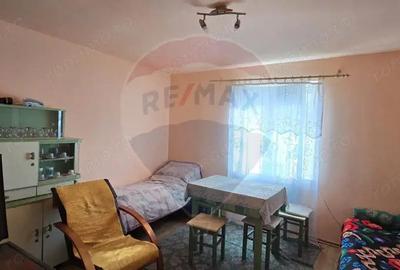 Casa cu livada 2880 mp in Adea la 4km de Chi?ineu-Cri? - 13