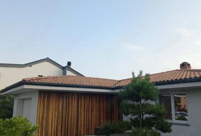 Casă în Sânnicolau Mare - 9