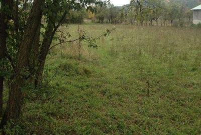 Teren de 12000 mp, în Pociovaliștea - 4