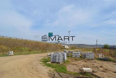 Teren 6500mp langa Prima Shopping Center Sibiu - 4