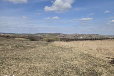 Teren de 11500 mp, în Mihai Viteazu - 3